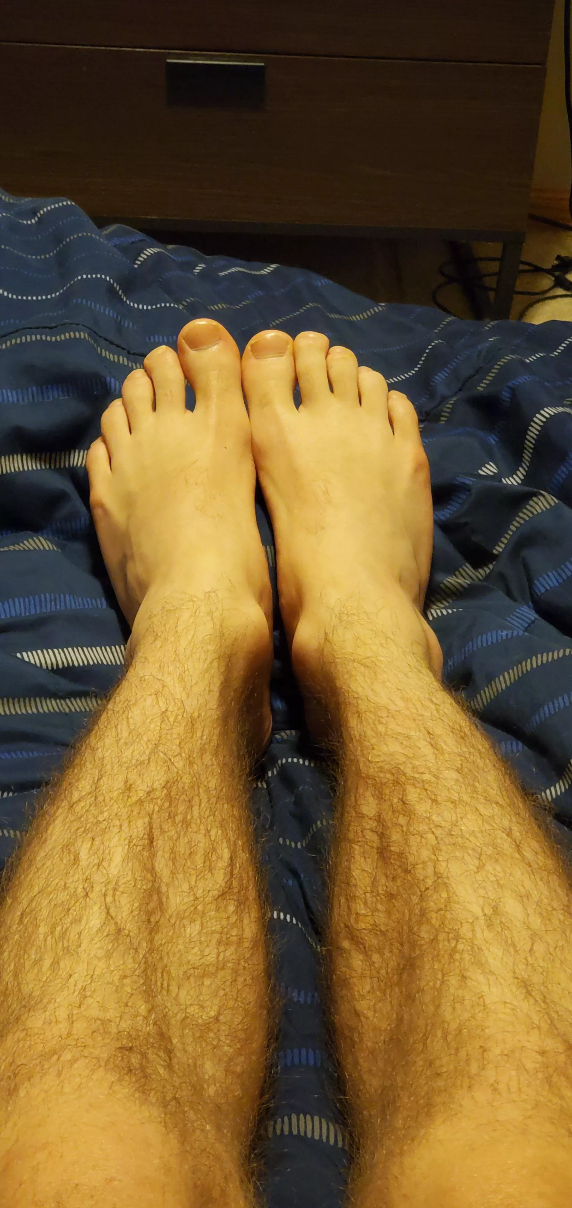 what do u think of them?