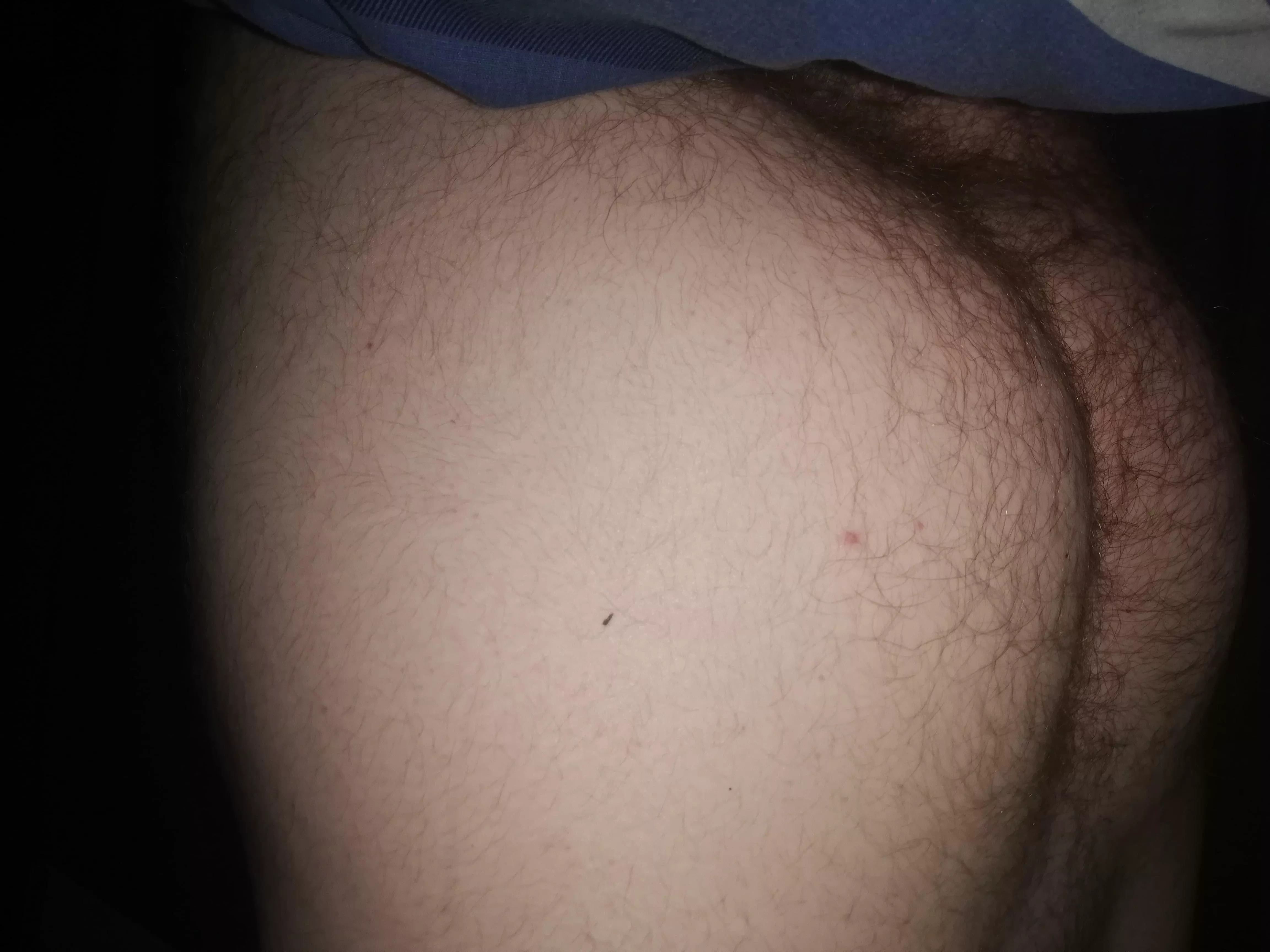 what do yall think of my fat ginger hairy ass?