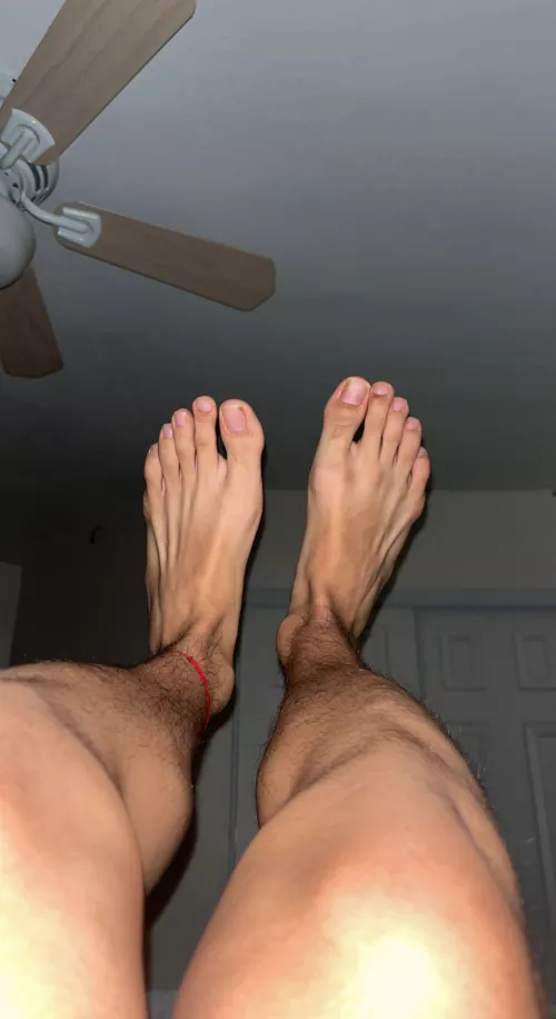 what do you boys think