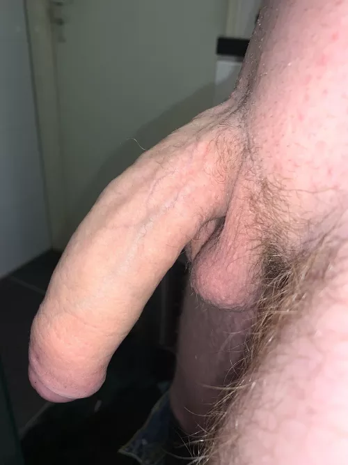 What do you think of my 19 years old cock?