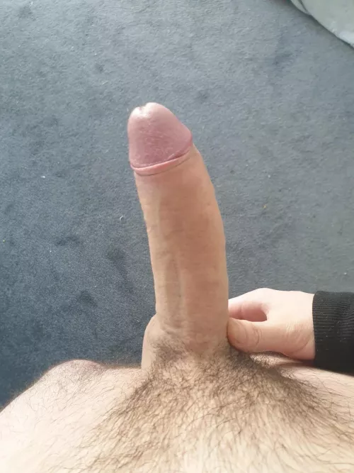 what do you think of my dick