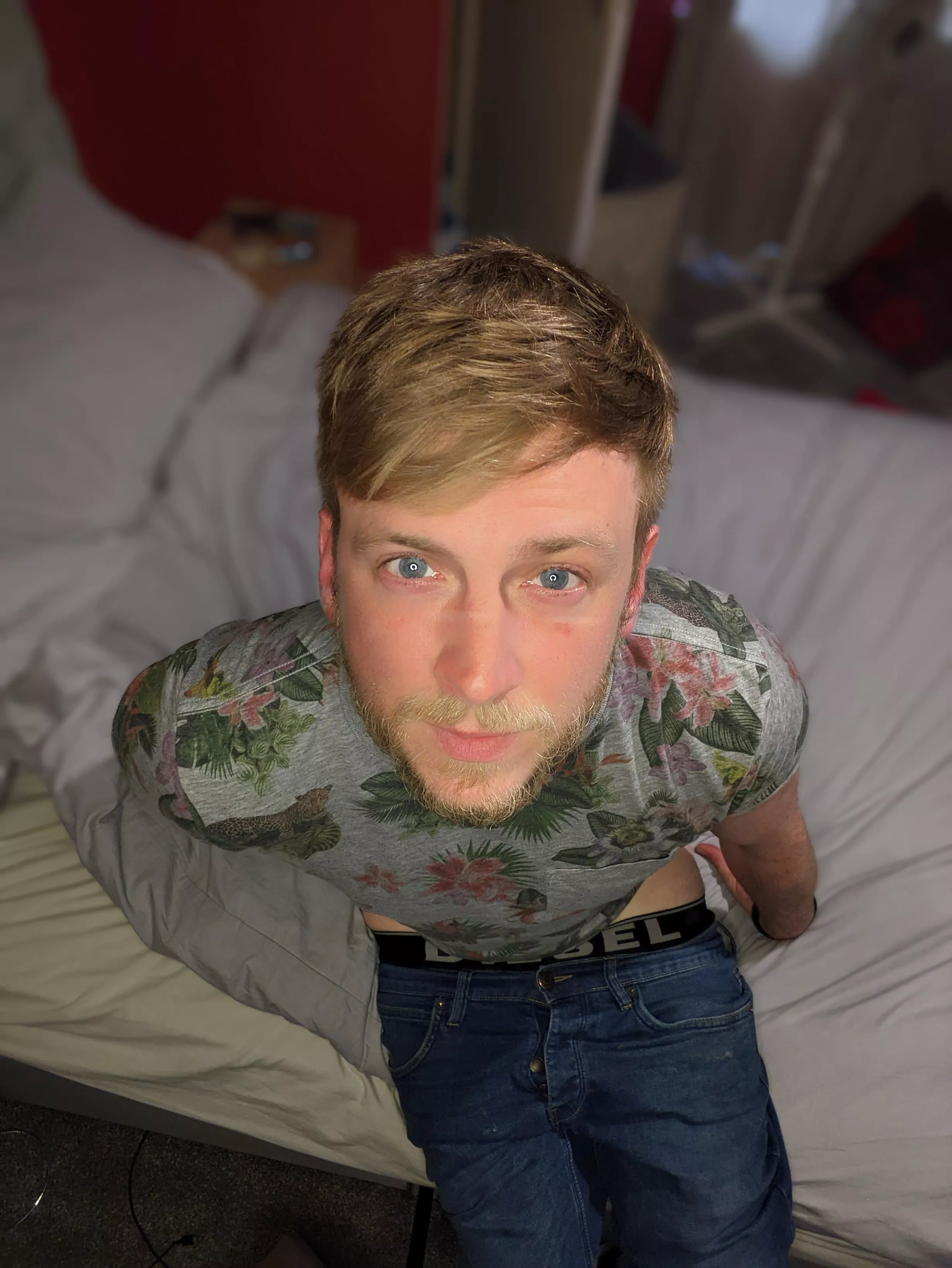 what do you want to do today?