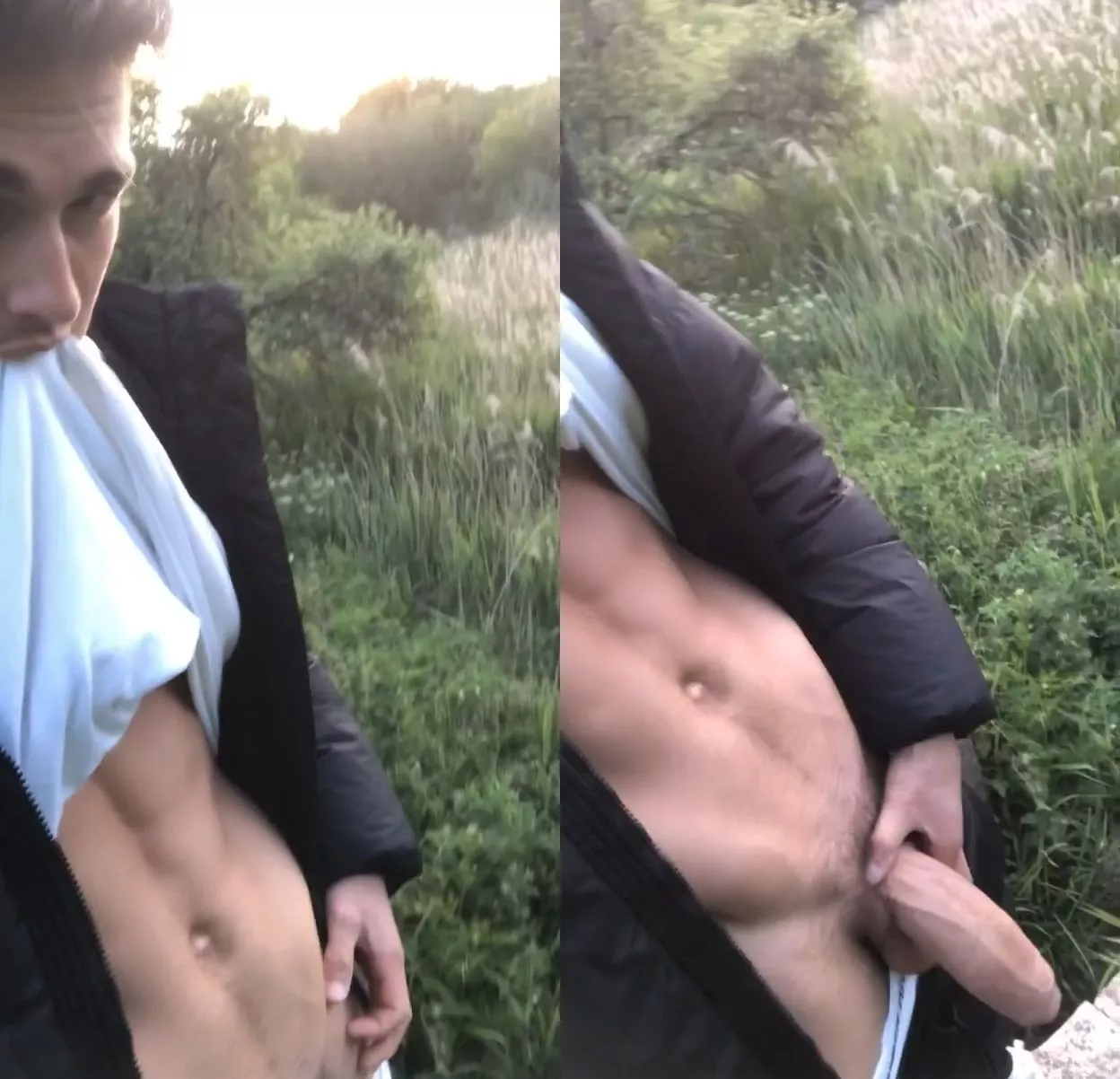 What would you do if you saw this on your walk in the forest?