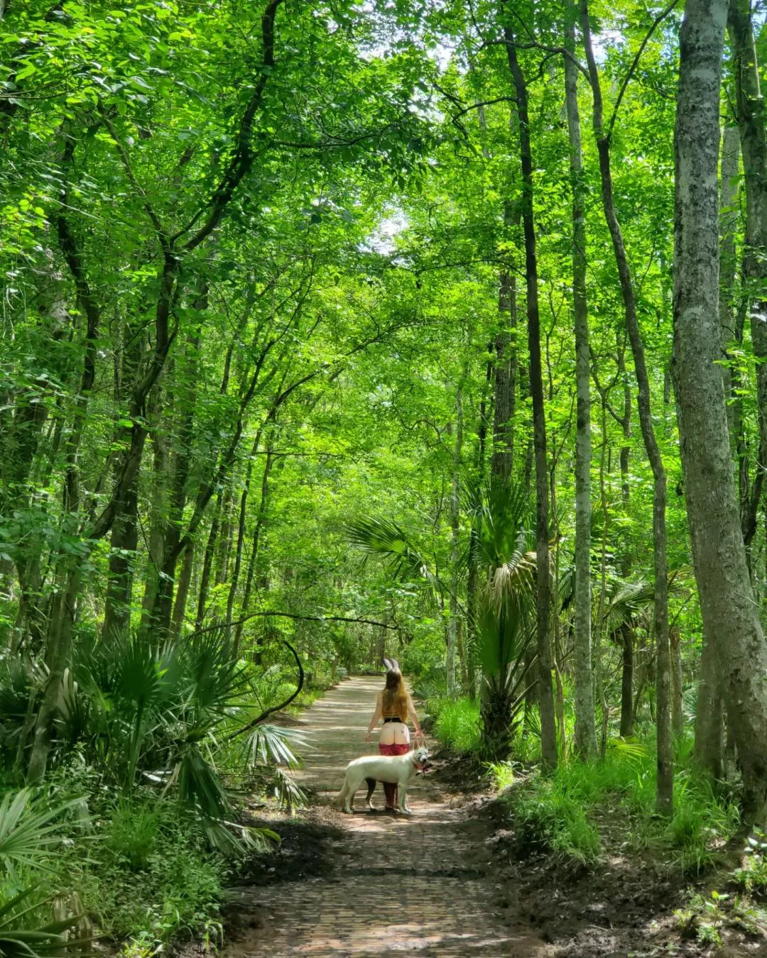 what would you do if you Stumbled across a Bunny🥕🧡