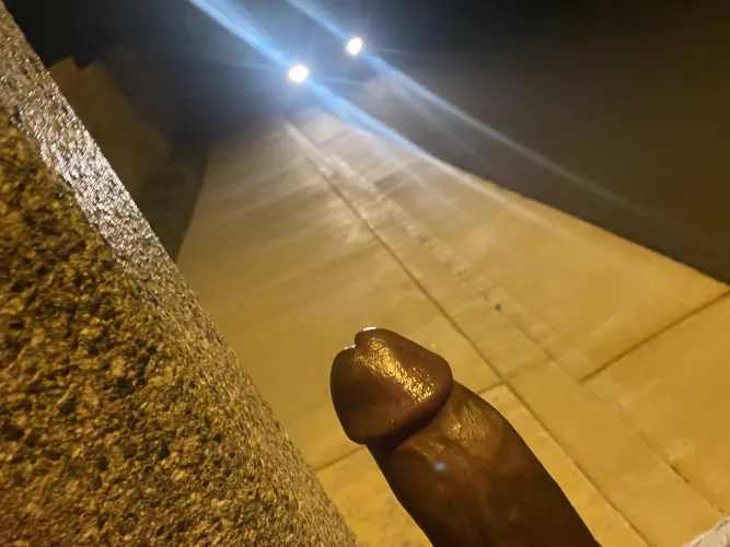 What would you do if you were driving by & saw me with my dick out under the streetlight?