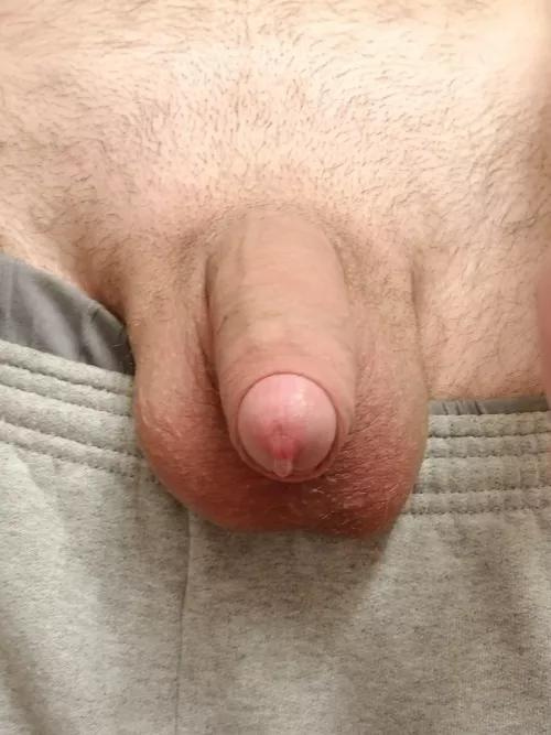 What You See When You Pull My Sweatpants Down [25]