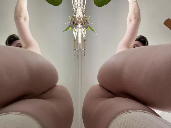 What’s better than one pawg? Two.