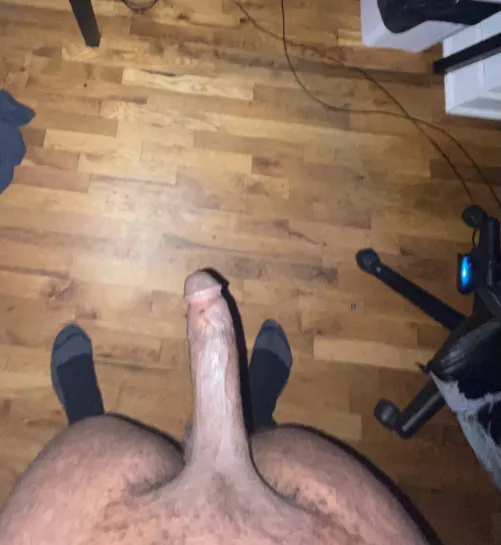 Where can I put this?😋