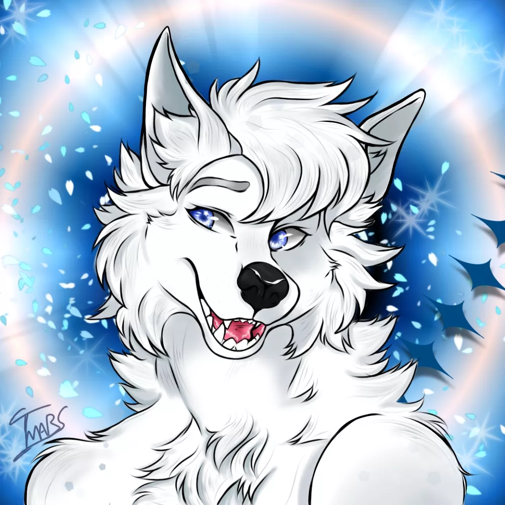 white husky (art be me)