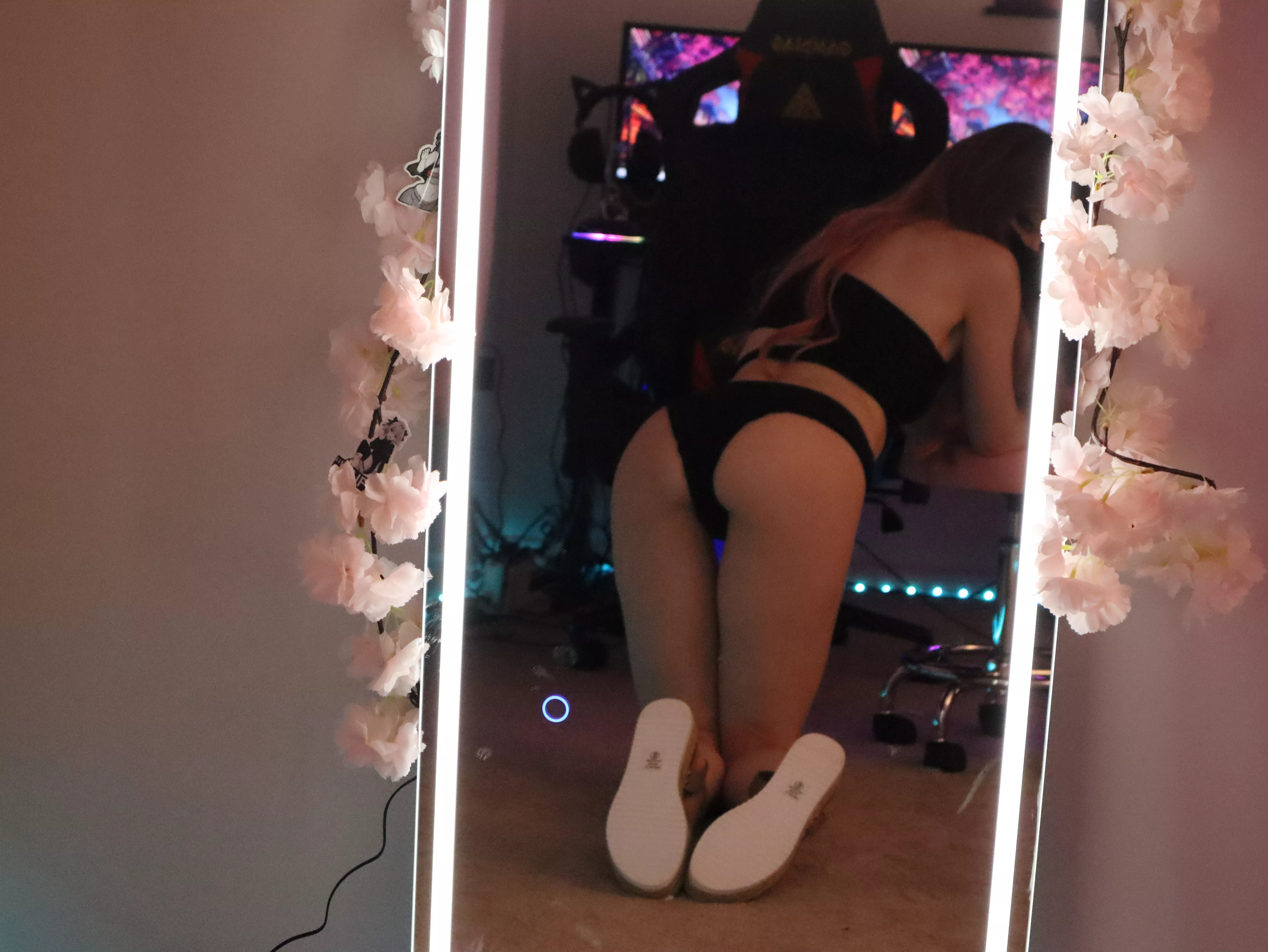 💕Who wants to breed me?💕