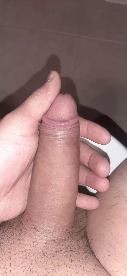 who wants to compare