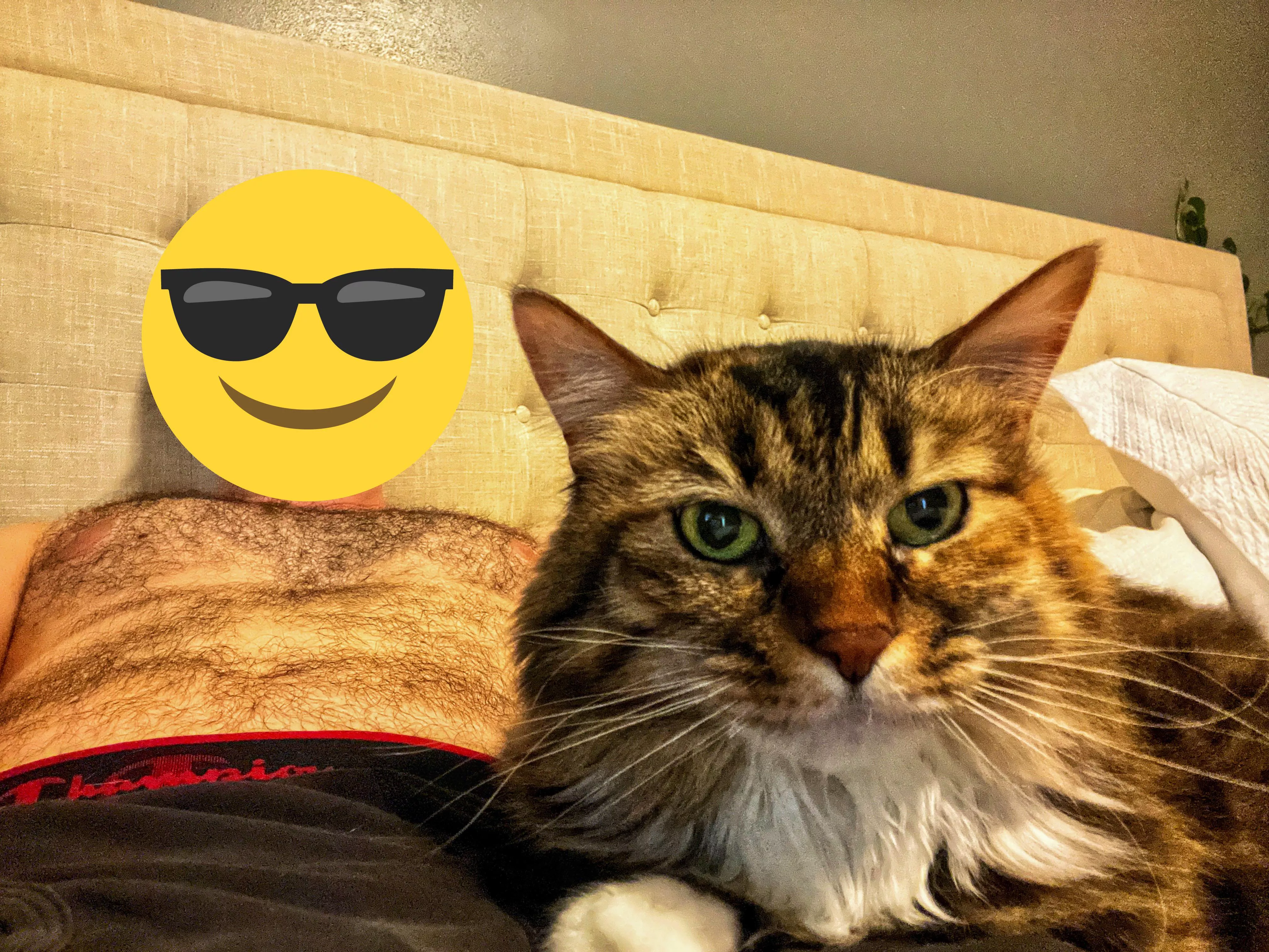 Who wants to cuddle up? I swear shes not as sassy as she thinks 😂