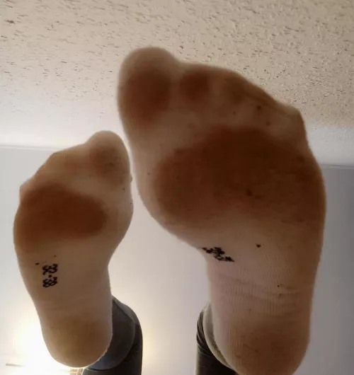 who wants to smell them?