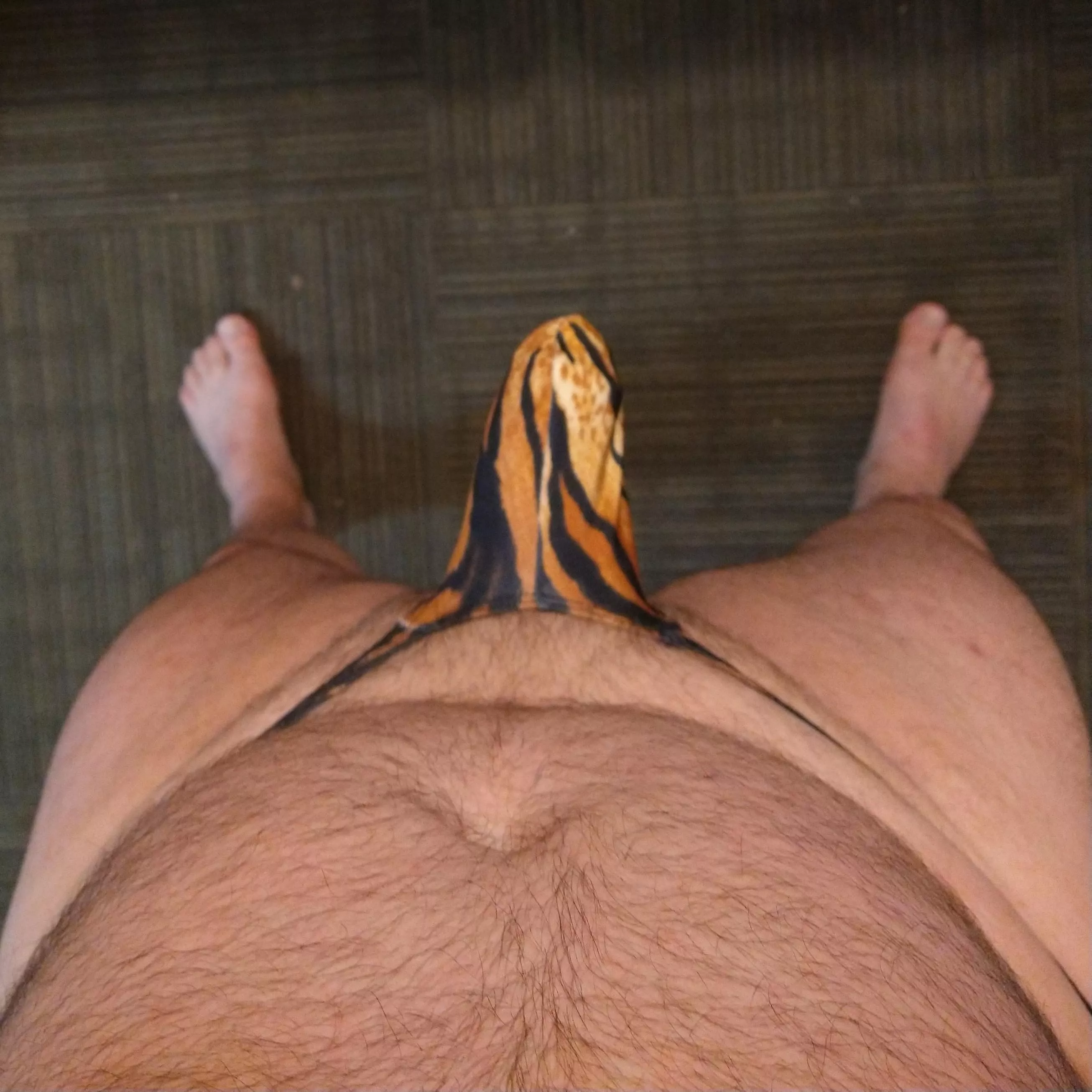 Who wants to tame this tiger? 🐅