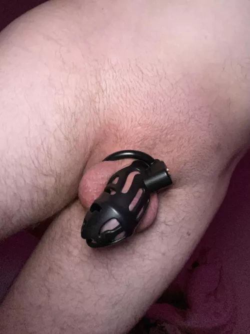 Who wants to use me? 🤤