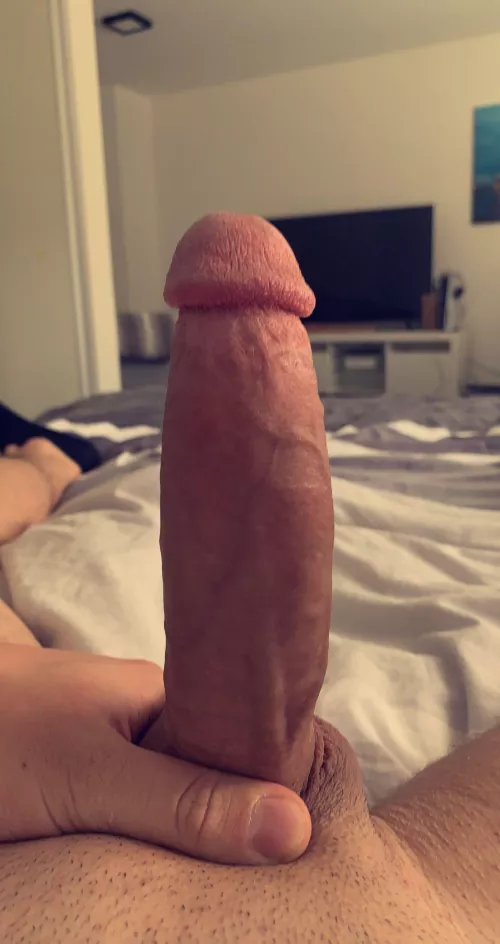 Who would suck my dick? 😁