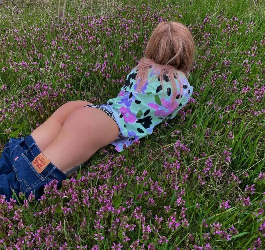 Who's face can I sit on?