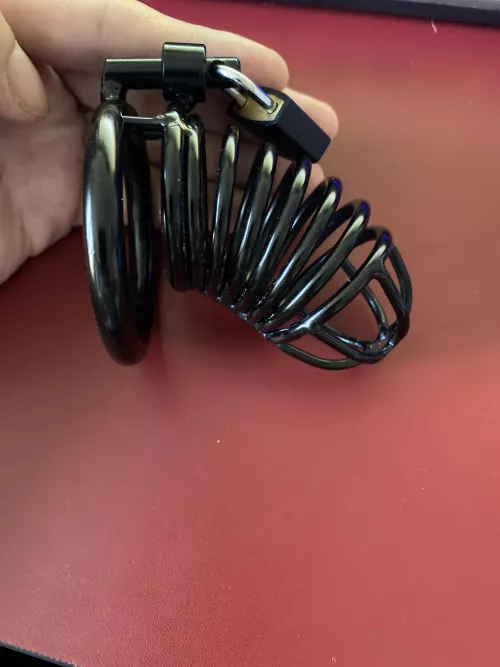 Who’s ready to give up control to a Hung dom? 22m Chicago