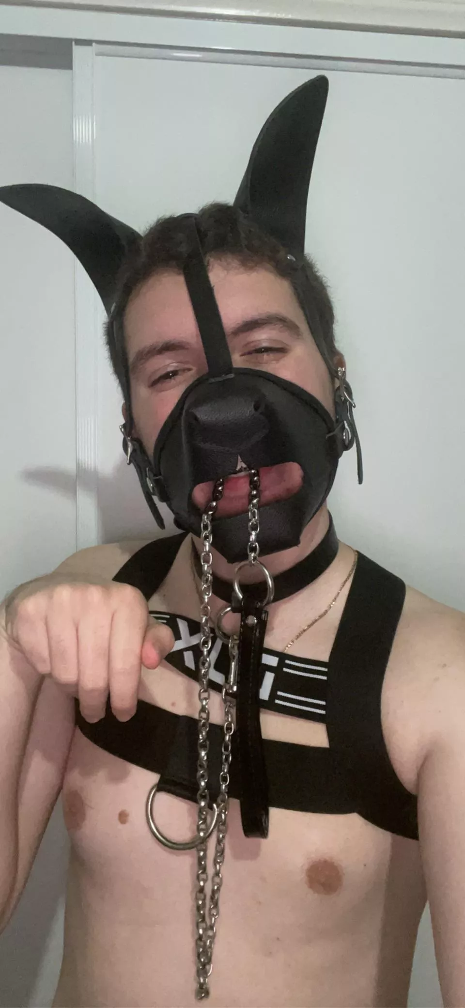 who’s taking me walkies? 🐕 🐾
