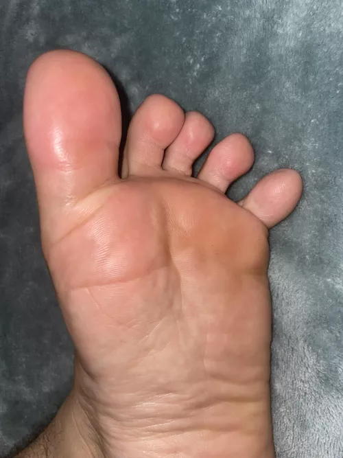 Why don’t you stick your nose in between my toes?