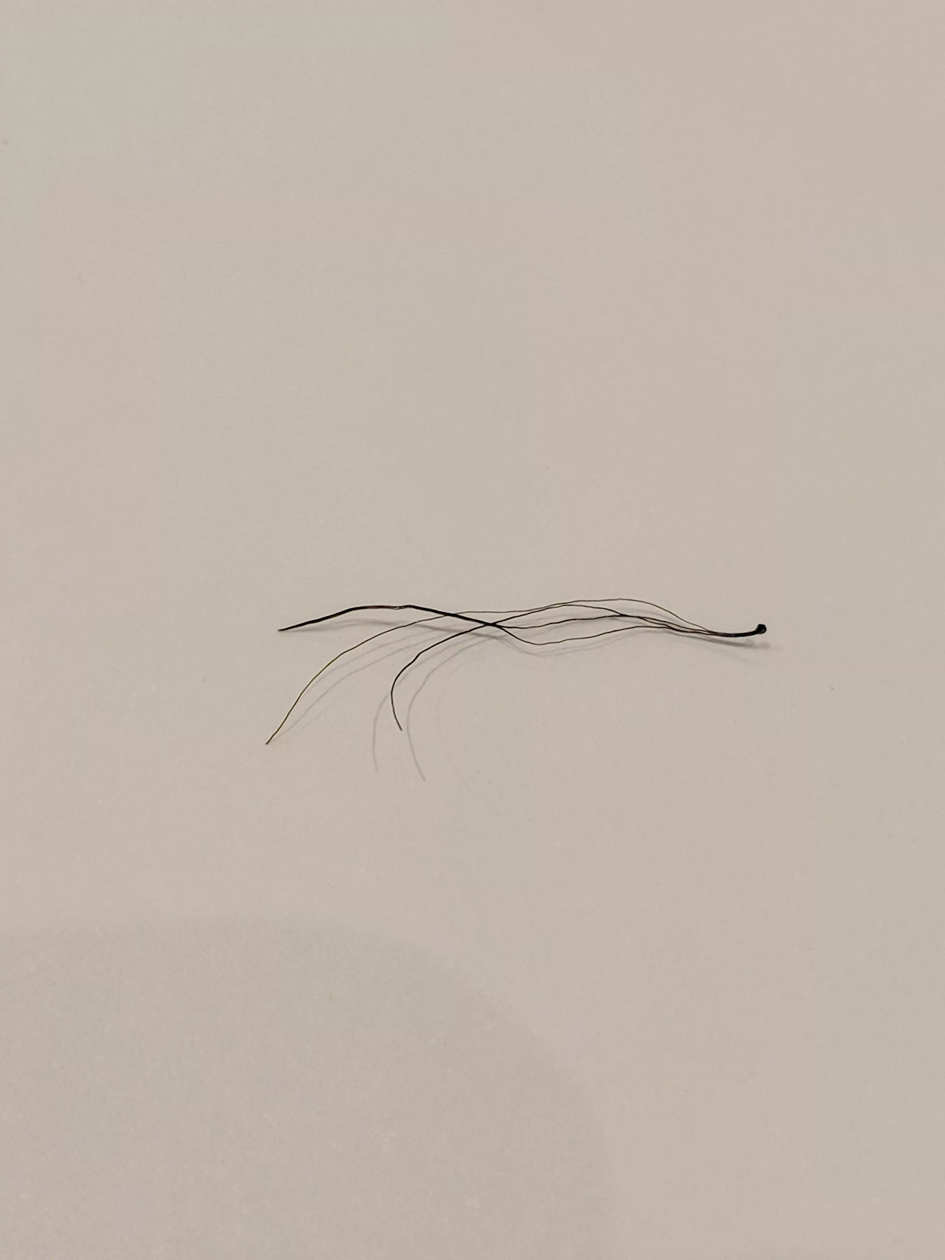 Wife pulled out a weird hair.