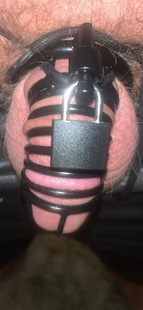 Wife said it was just for a day, it’s day seven. She says I’ll be good bitch tomorrow, but she said that yesterday.....