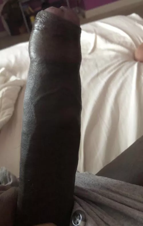 Wish I had a sissy here this morning to take care of this