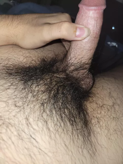 wish they were harrier. tell me your thoughts? dm's open