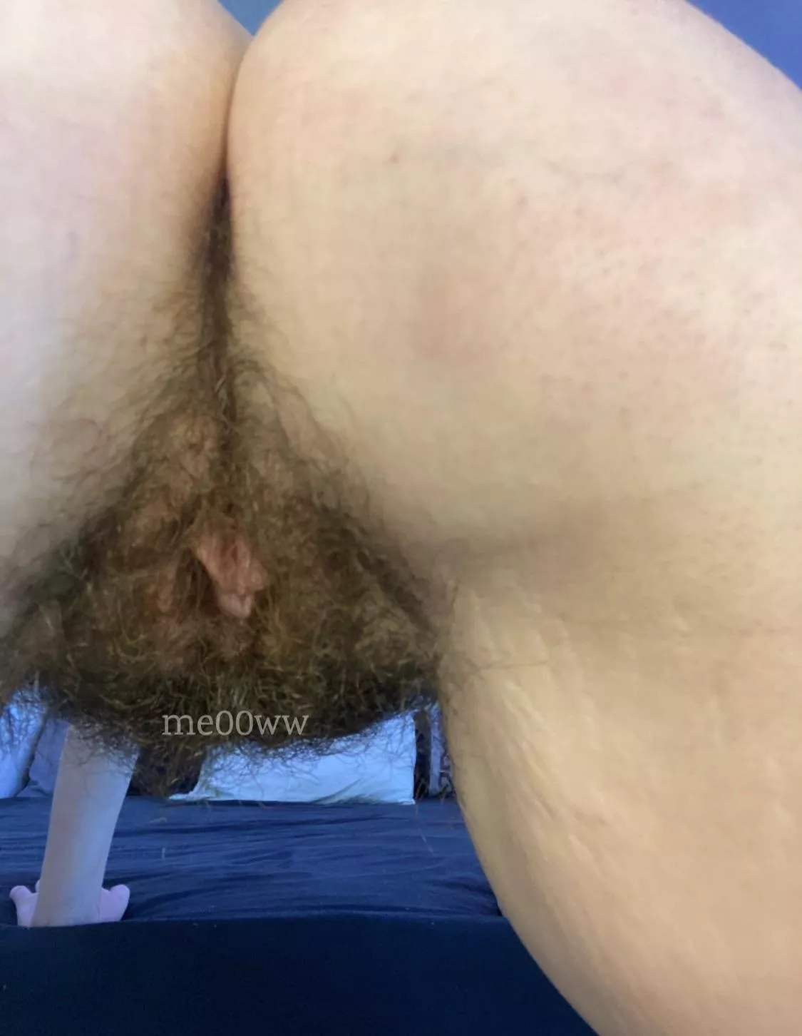 wishing i had a cream pie leaking out of me right about now