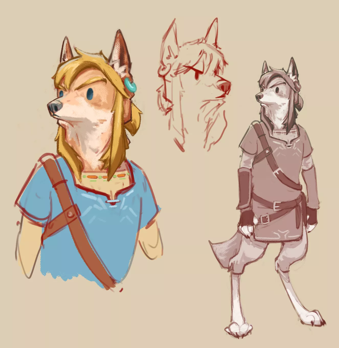 Wolf link because a friend and I wanted to try it