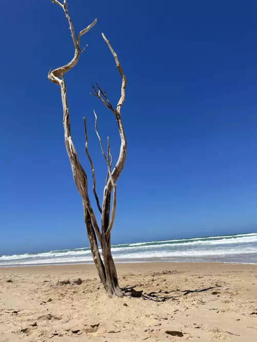 Woodside Beach ☀️