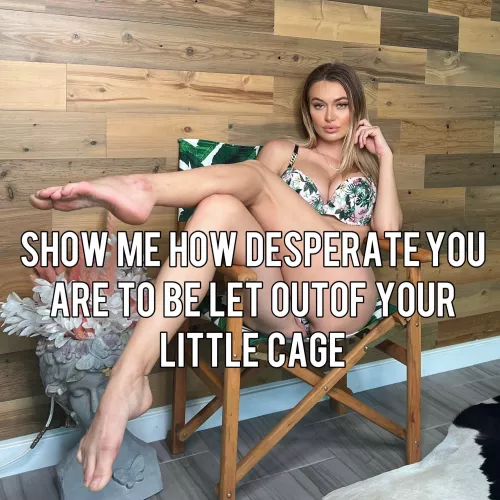 Would love to be humiliated like this