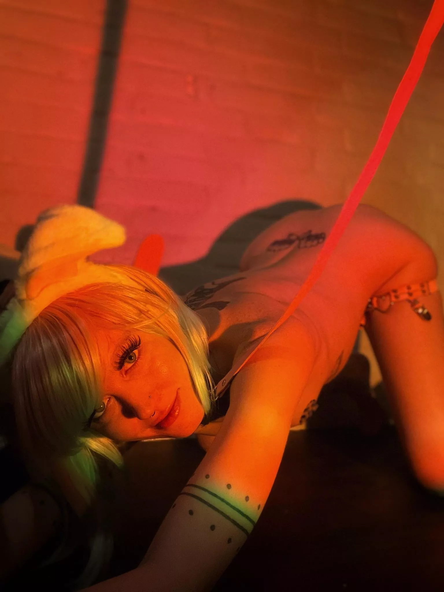 Would you adopt a pup like me?