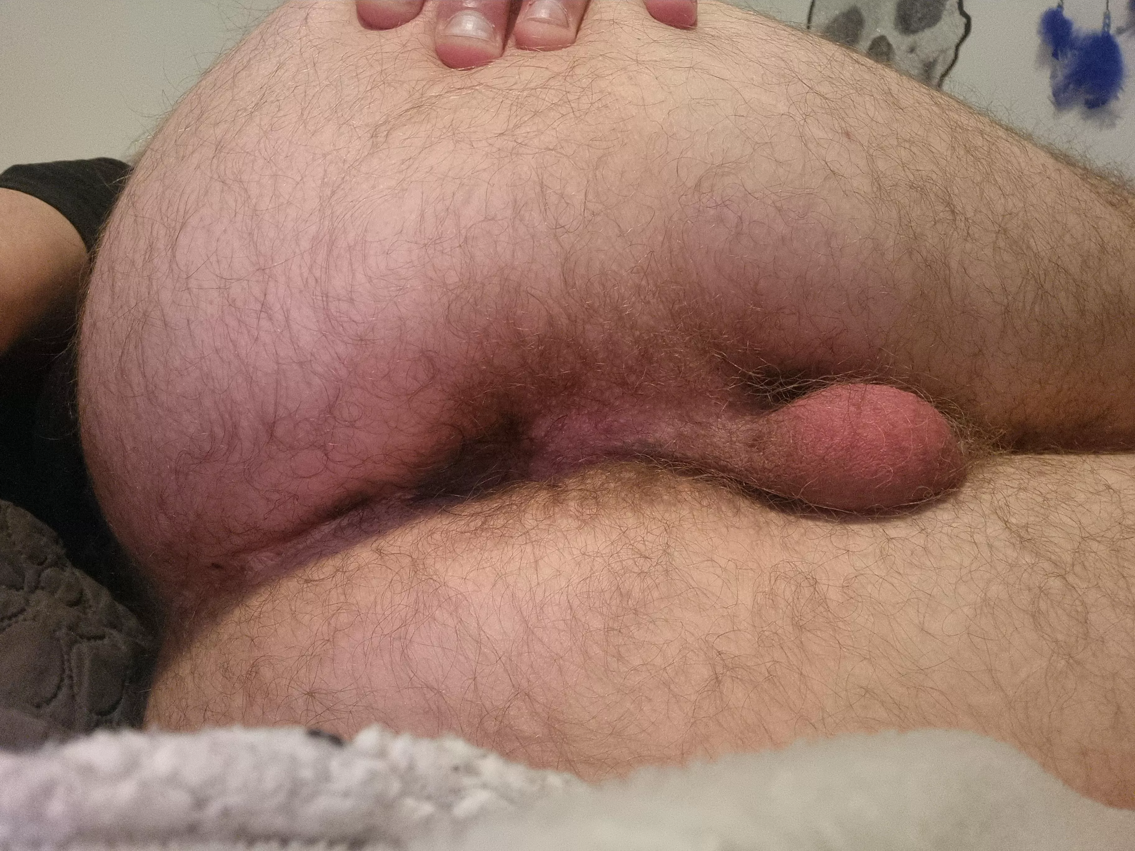 would you care for a midnight snack~?