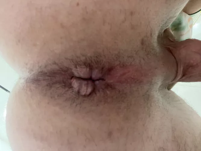 would you fuck me, suck me, or both?