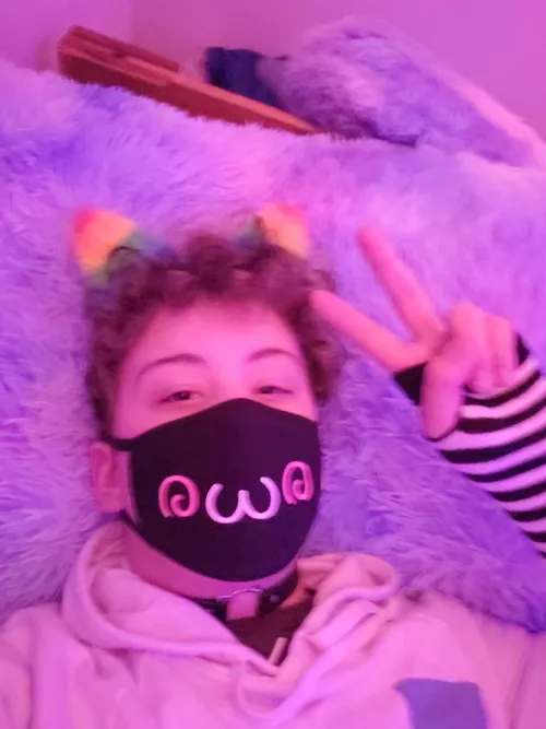 Would you gib headpats in return for cuddles? :3