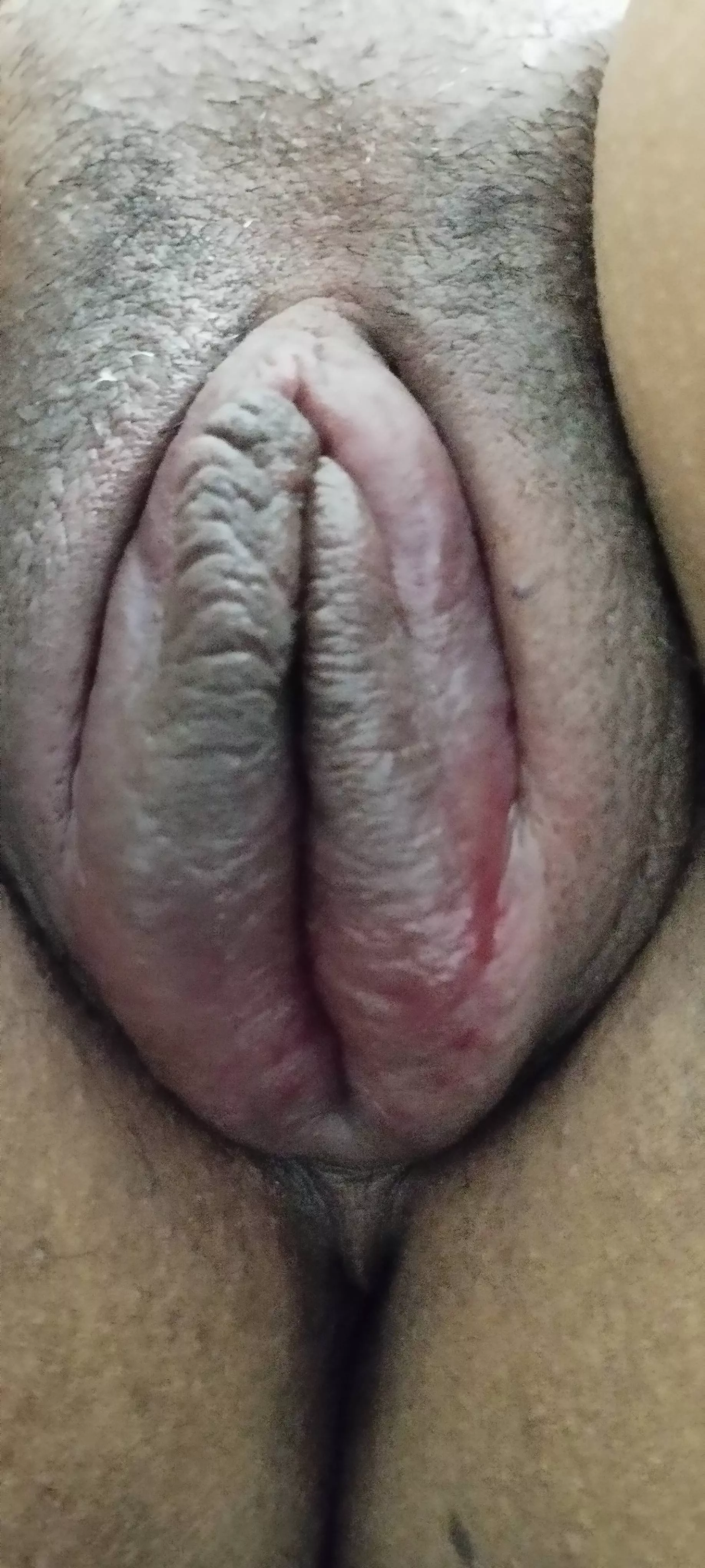 Would you give a kiss or lick?
