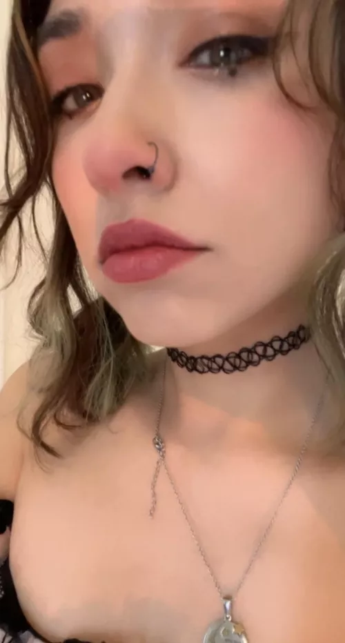 Would you leash me up?💕🐶