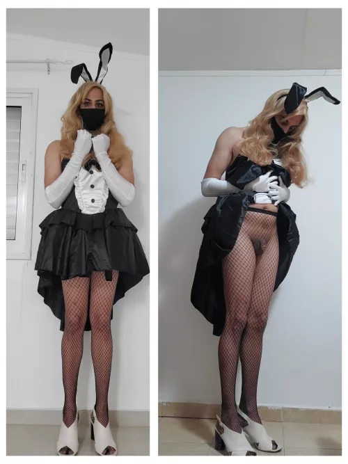 Would you like a bunny maid like me?