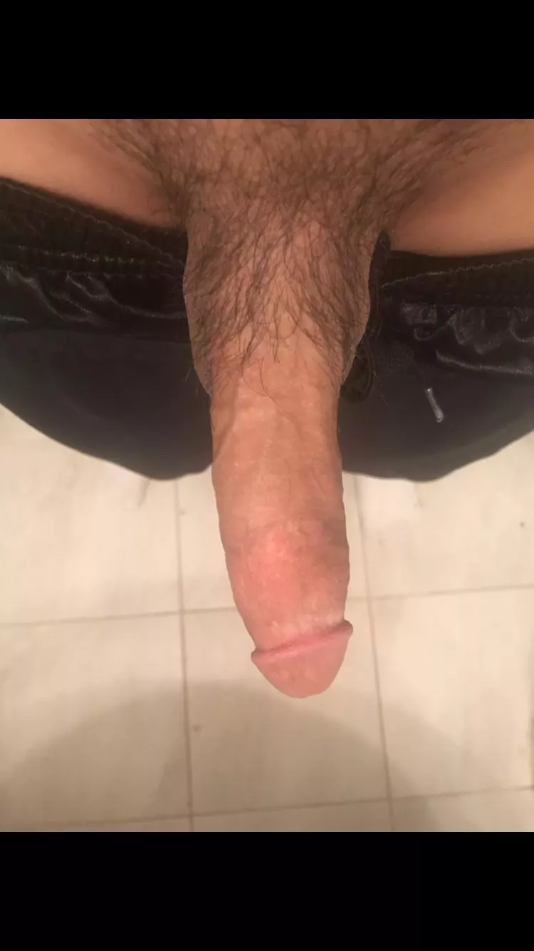 Would you suck my cock?