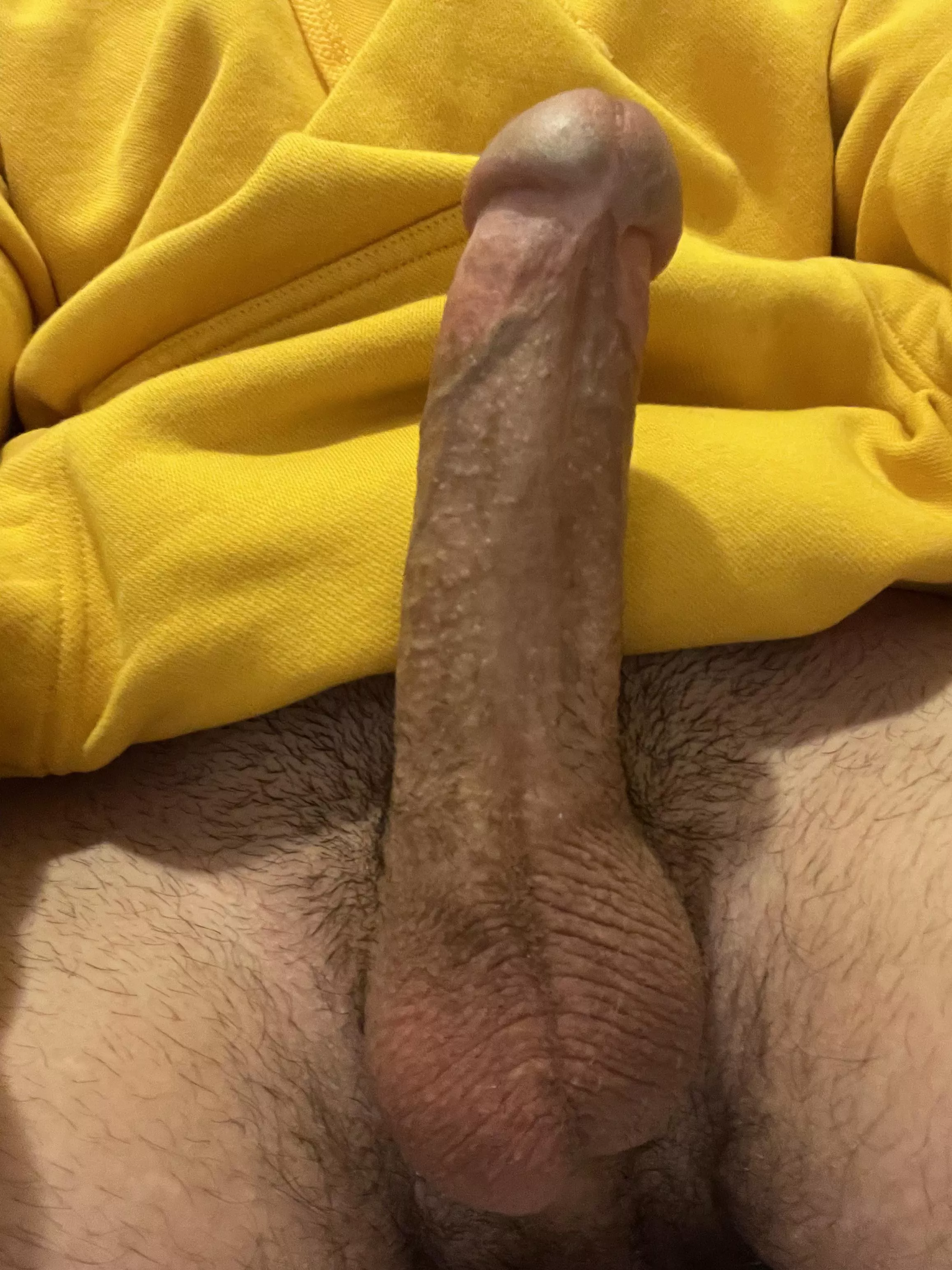 Would you suck this cock?