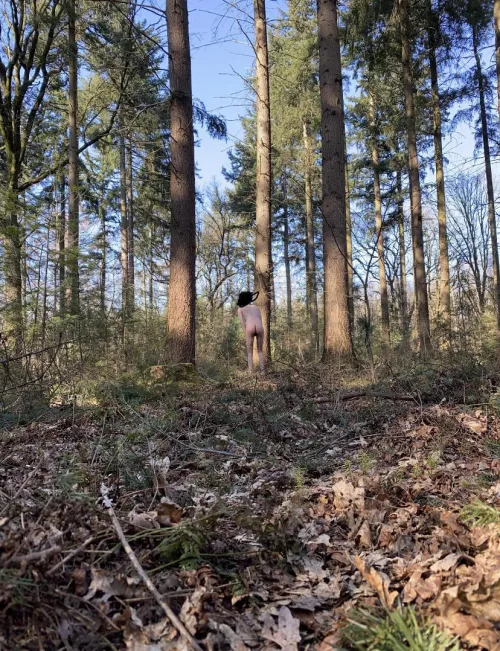 Would you take my clothes after I walked away?