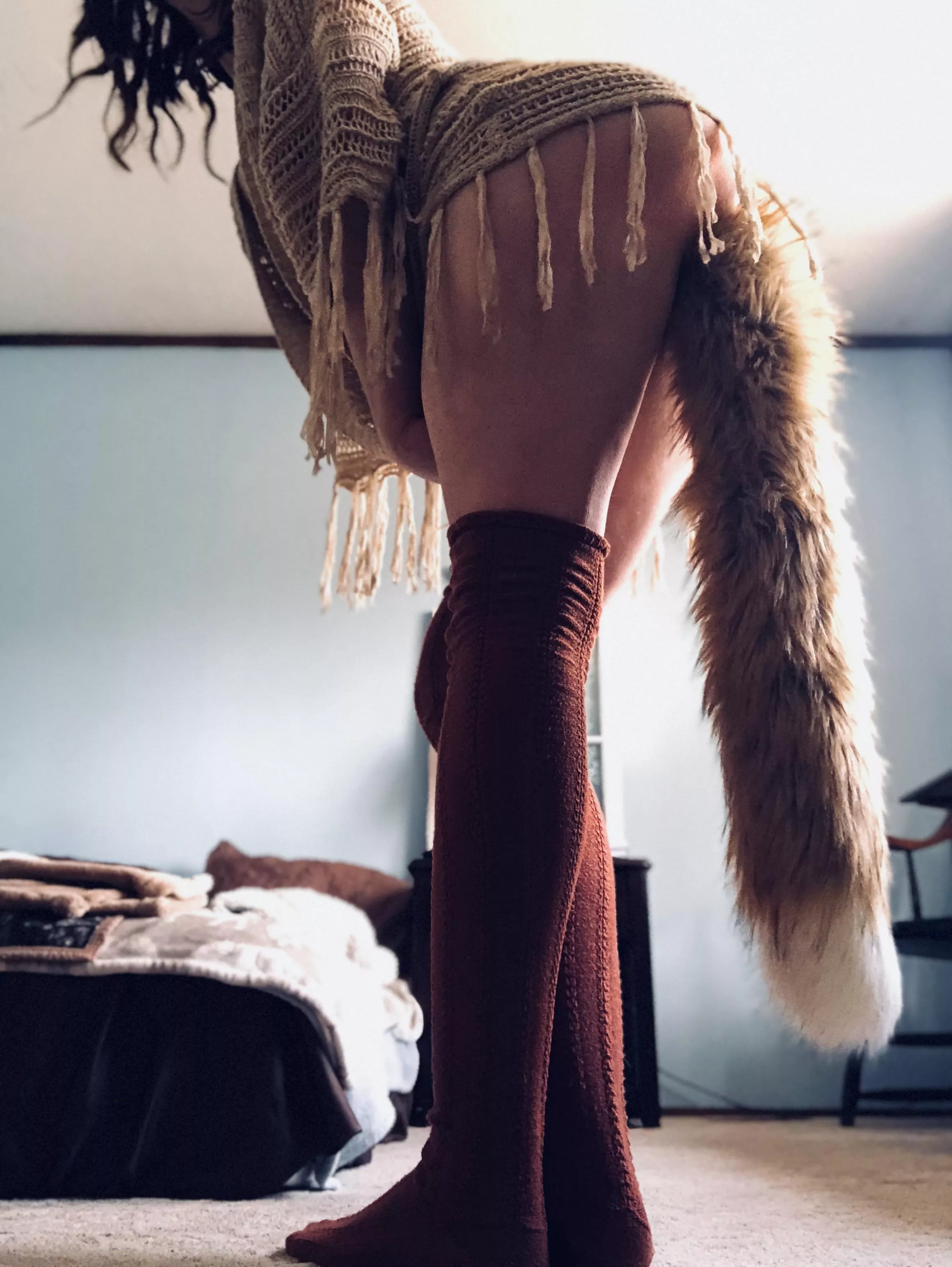 Would you tug my tail? 🦊