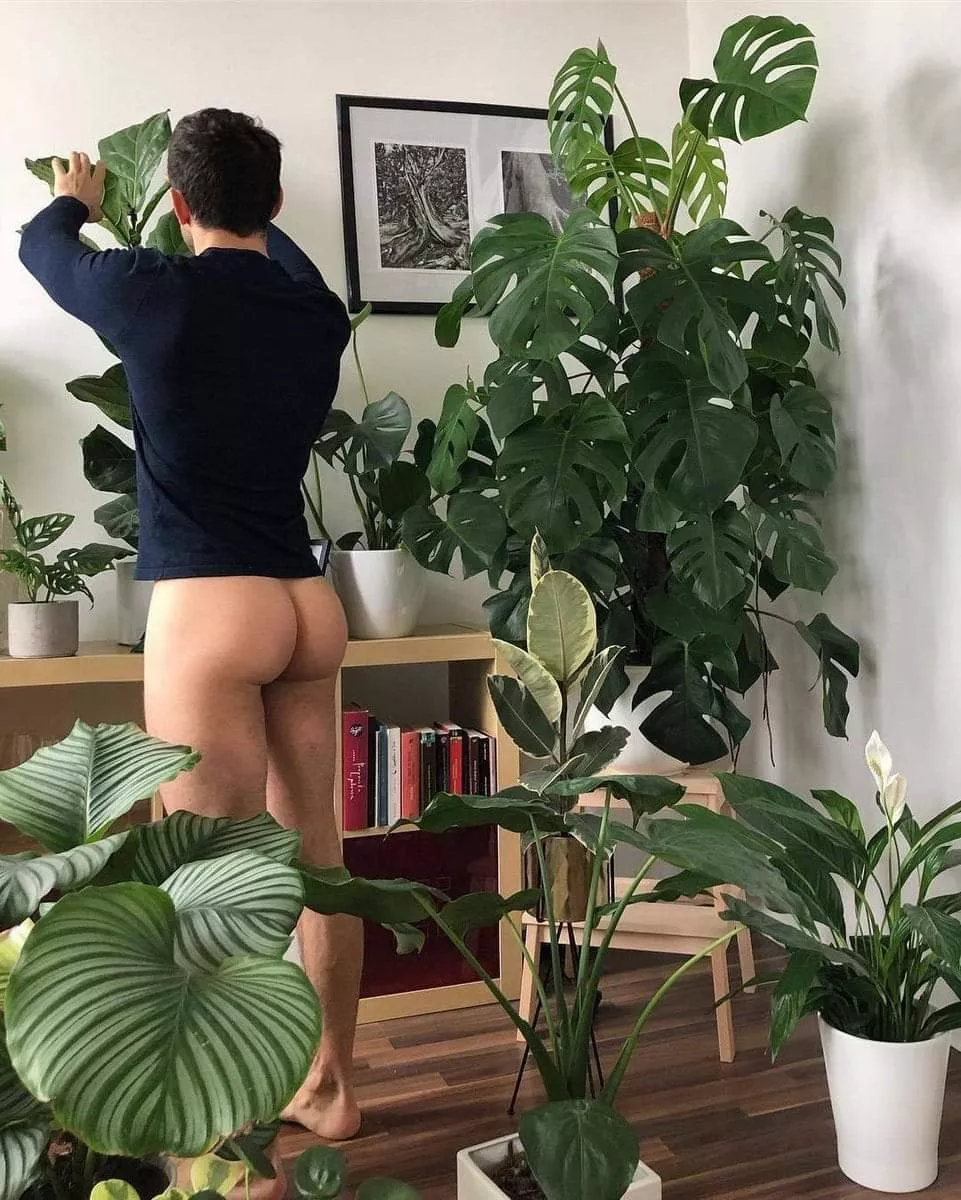 Y'all loik at this plant Daddy 