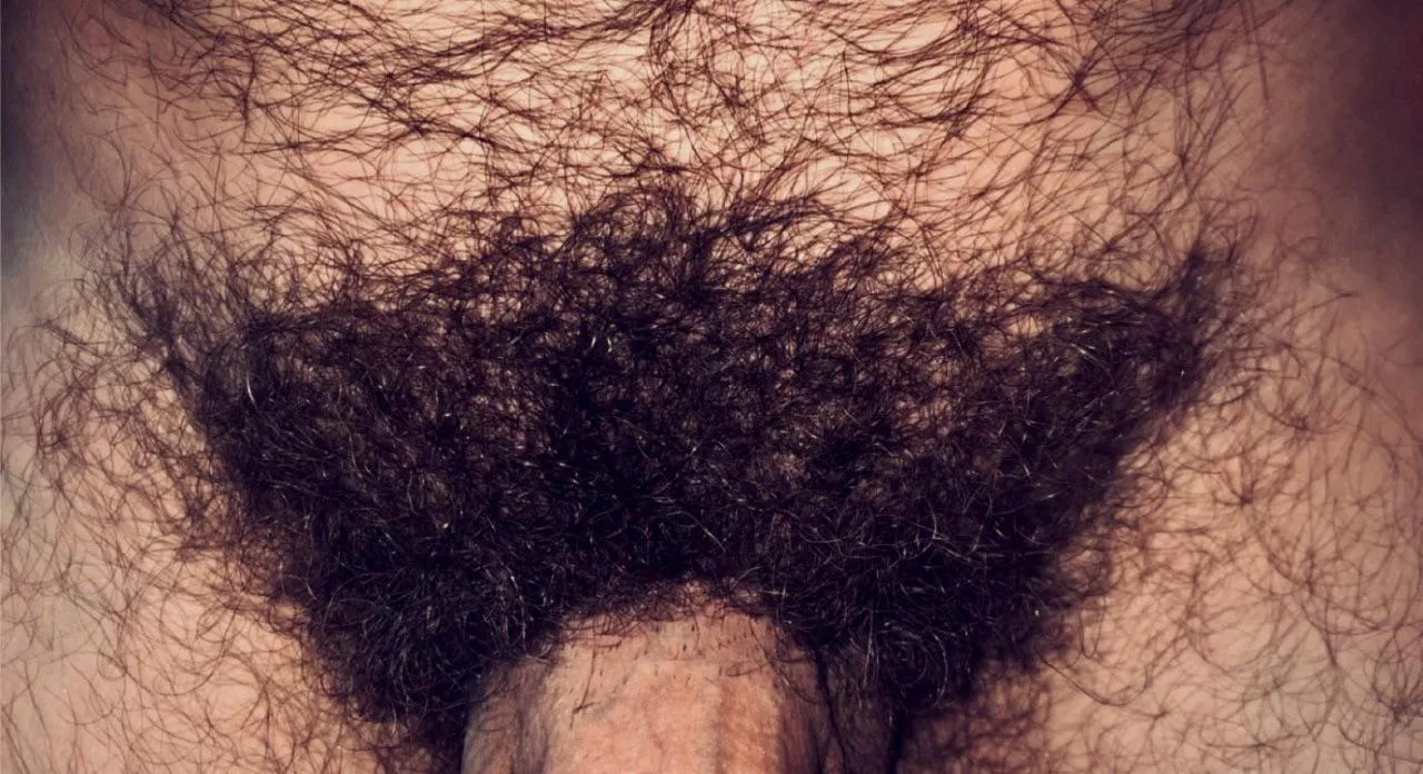 Yep, I sport full bush.