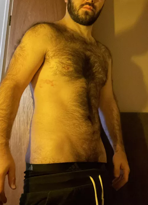 You can pull them down from here