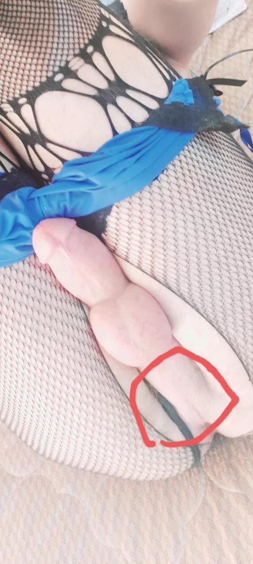 you do in the area between the dick and the pussy?