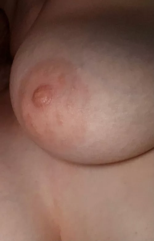 You like the wife nipple?