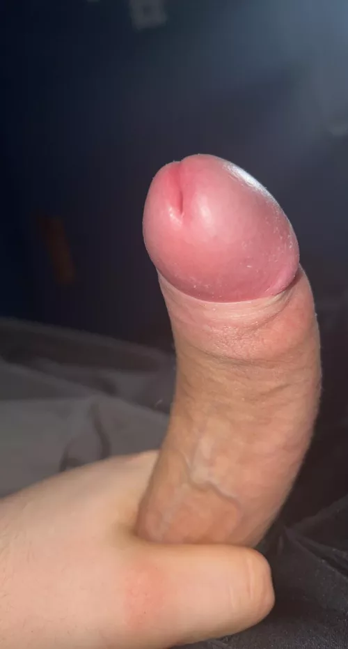 You little sissy sluts have a choice do you want it in ur ass or down ur throat first? And where do you think you deserve masters cum?
