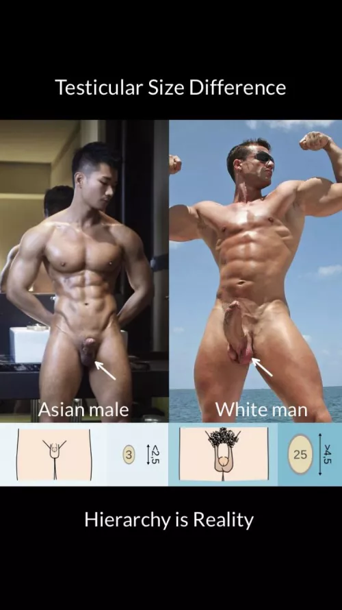 You re just inferior,no shame about it